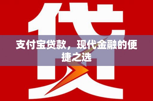 暖暖支付宝贷款，现代金融的便捷之选