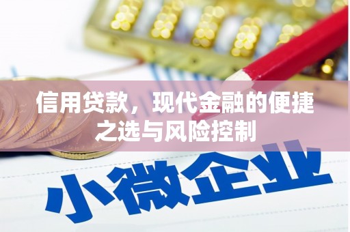 暖暖信用贷款，现代金融的便捷之选与风险控制