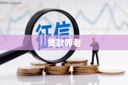 暖暖贷款养老