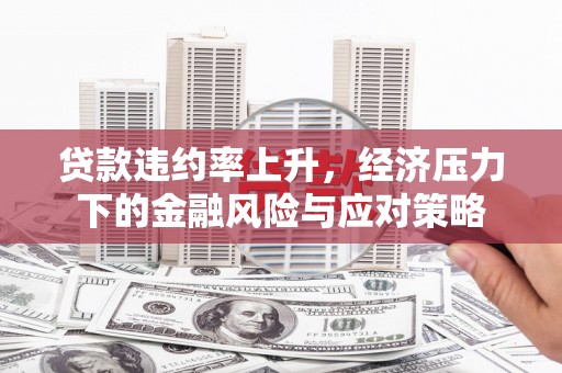 暖暖贷款违约率上升，经济压力下的金融风险与应对策略