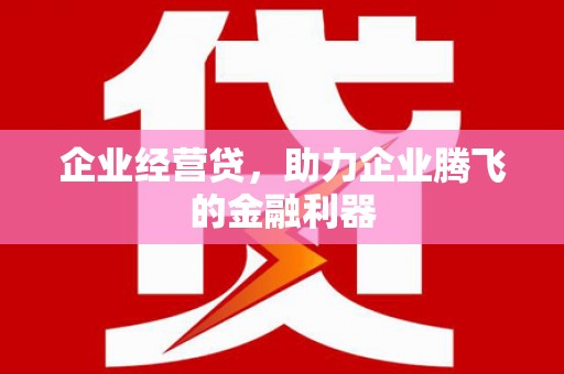 暖暖企业经营贷，助力企业腾飞的金融利器