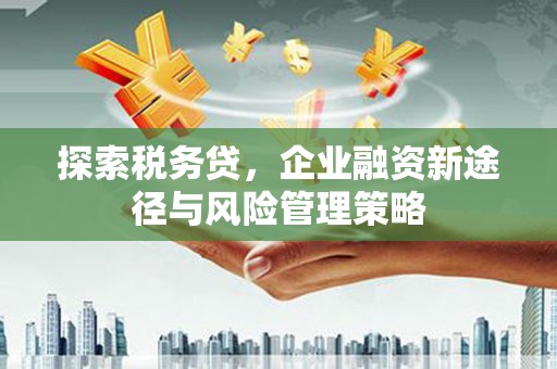 暖暖探索税务贷，企业融资新途径与风险管理策略
