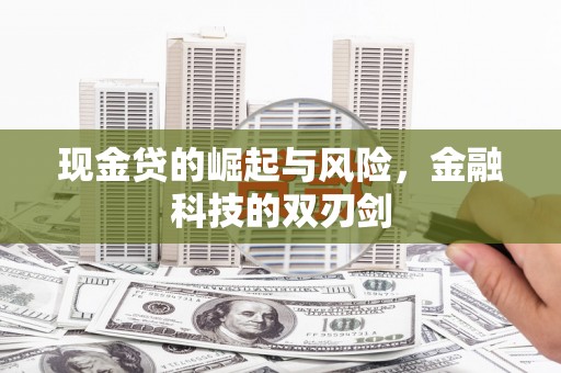 暖暖现金贷的崛起与风险，金融科技的双刃剑