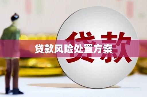 暖暖贷款风险处置方案