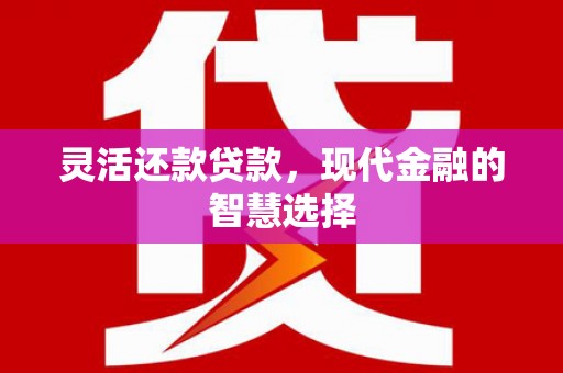 暖暖灵活还款贷款，现代金融的智慧选择