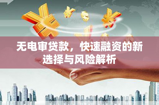 暖暖无电审贷款，快速融资的新选择与风险解析