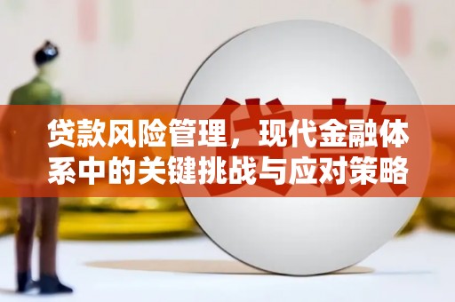 暖暖贷款风险管理，现代金融体系中的关键挑战与应对策略