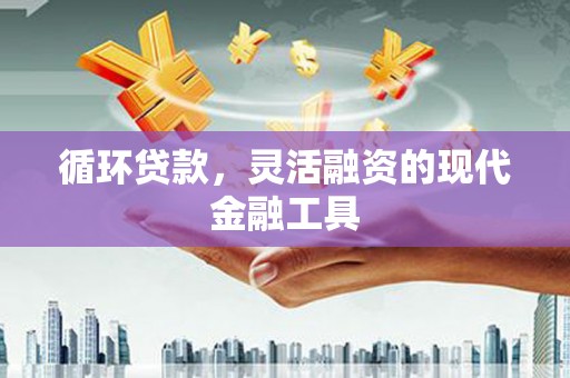 暖暖循环贷款，灵活融资的现代金融工具