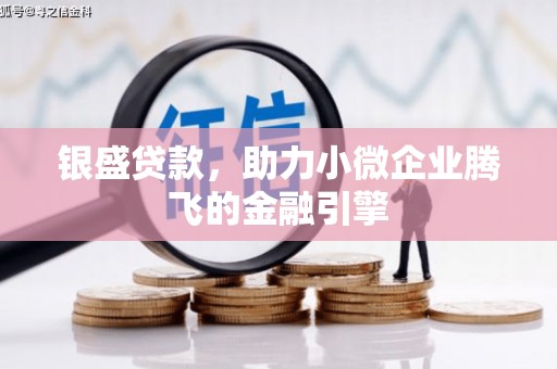 暖暖银盛贷款，助力小微企业腾飞的金融引擎