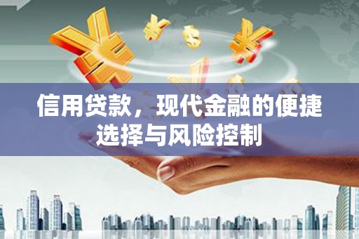 暖暖信用贷款，现代金融的便捷选择与风险控制