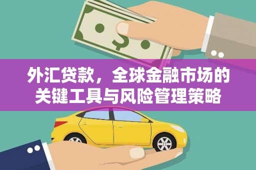 暖暖外汇贷款，全球金融市场的关键工具与风险管理策略