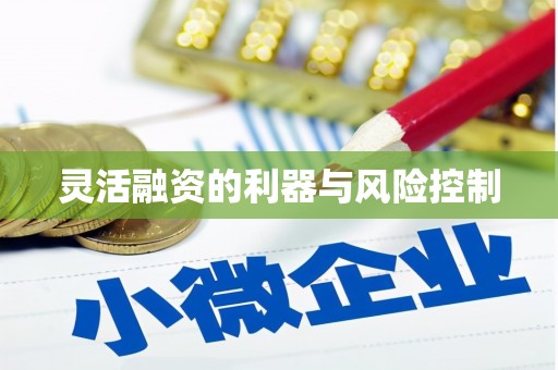 暖暖灵活融资的利器与风险控制