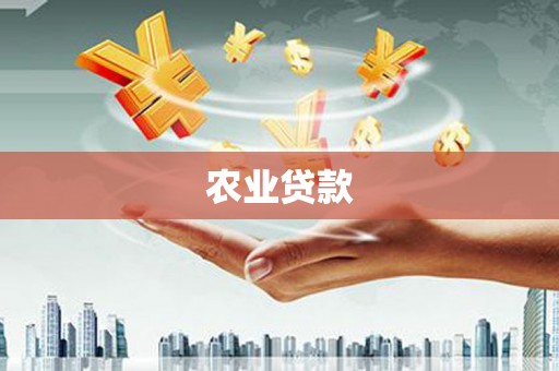 暖暖农业贷款