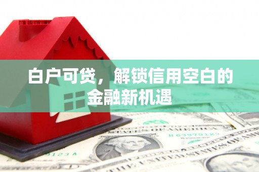 暖暖白户可贷，解锁信用空白的金融新机遇