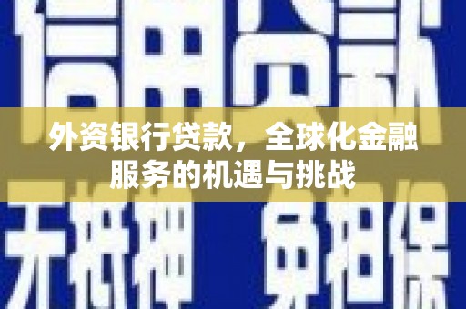 暖暖外资银行贷款，全球化金融服务的机遇与挑战