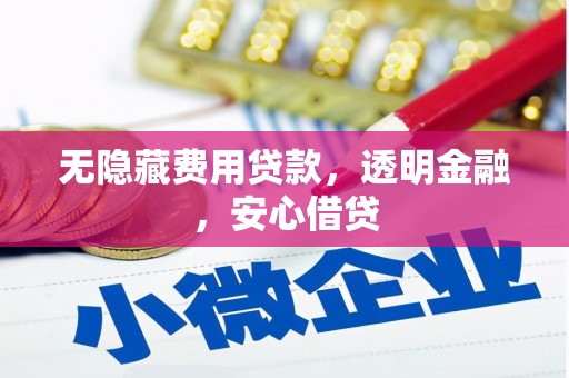 暖暖无隐藏费用贷款，透明金融，安心借贷