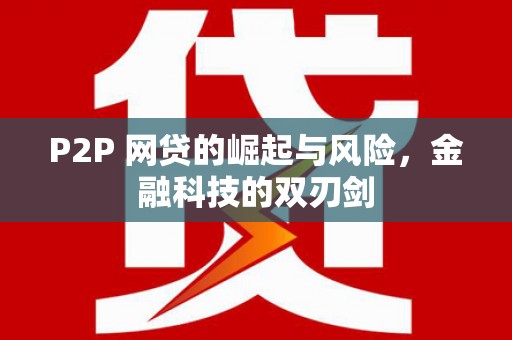 暖暖P2P 网贷的崛起与风险，金融科技的双刃剑