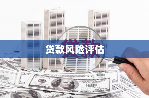 暖暖贷款风险评估