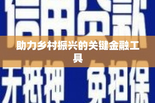 暖暖助力乡村振兴的关键金融工具