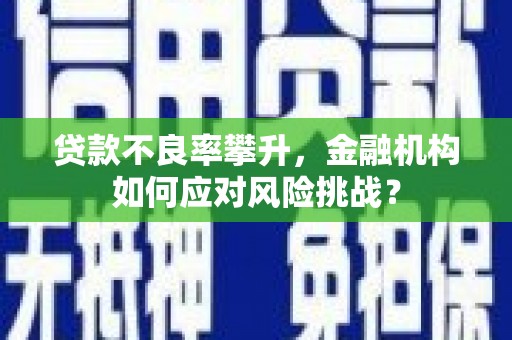 暖暖贷款不良率攀升，金融机构如何应对风险挑战？