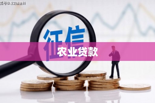 暖暖农业贷款