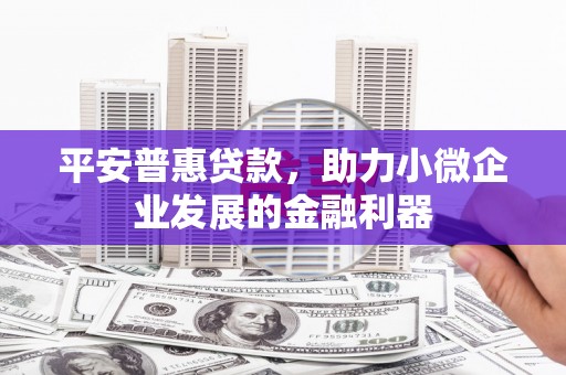 暖暖平安普惠贷款，助力小微企业发展的金融利器