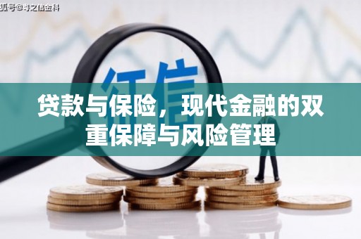 暖暖贷款与保险，现代金融的双重保障与风险管理