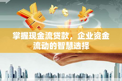 暖暖掌握现金流贷款，企业资金流动的智慧选择
