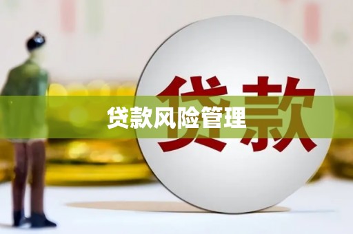 暖暖贷款风险管理