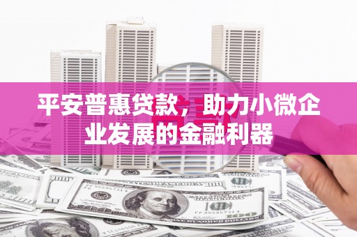 暖暖平安普惠贷款，助力小微企业发展的金融利器
