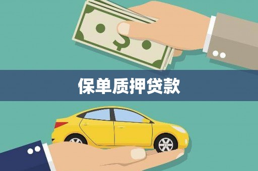 暖暖保单质押贷款