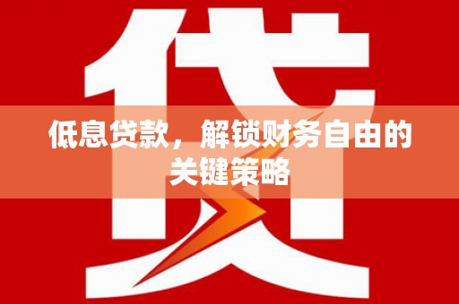 暖暖低息贷款，解锁财务自由的关键策略