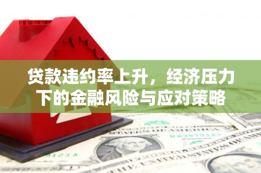 暖暖贷款违约率上升，经济压力下的金融风险与应对策略