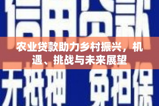 暖暖农业贷款助力乡村振兴，机遇、挑战与未来展望