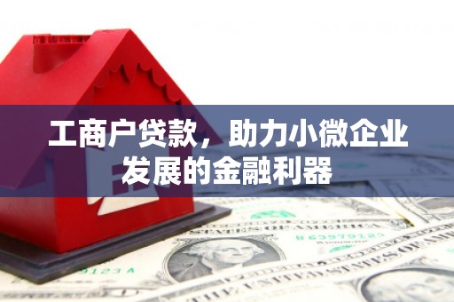 暖暖工商户贷款，助力小微企业发展的金融利器
