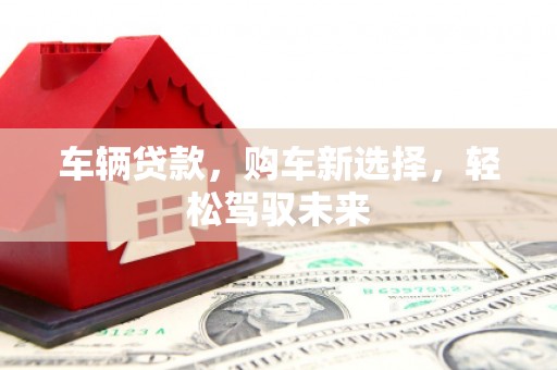 暖暖车辆贷款，购车新选择，轻松驾驭未来