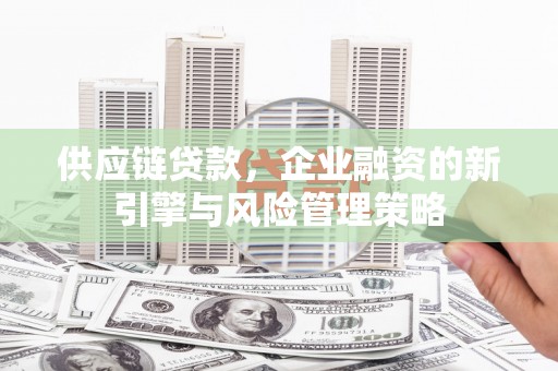 暖暖供应链贷款，企业融资的新引擎与风险管理策略