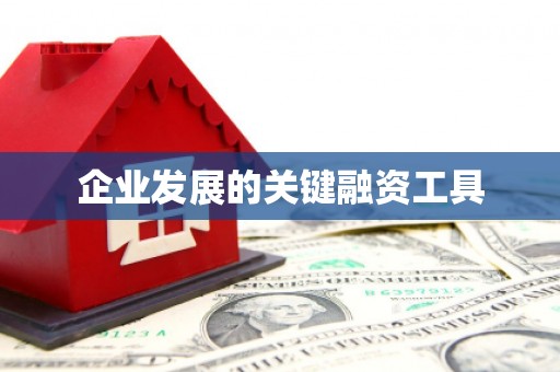 暖暖企业发展的关键融资工具