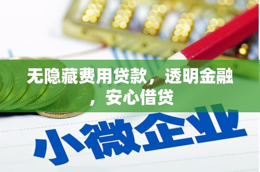 暖暖无隐藏费用贷款，透明金融，安心借贷
