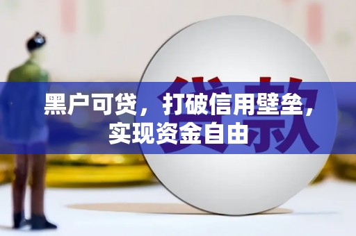 暖暖黑户可贷，打破信用壁垒，实现资金自由