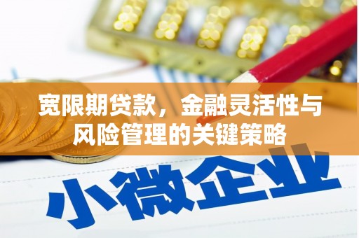 暖暖宽限期贷款，金融灵活性与风险管理的关键策略