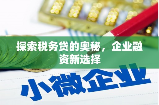 暖暖探索税务贷的奥秘，企业融资新选择