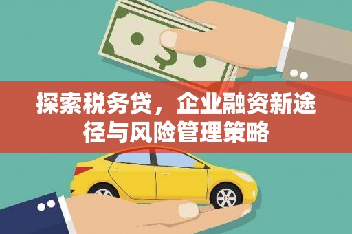 暖暖探索税务贷，企业融资新途径与风险管理策略