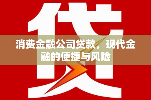 暖暖消费金融公司贷款，现代金融的便捷与风险