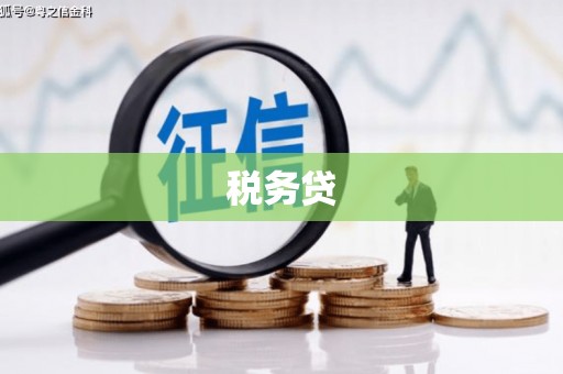 暖暖税务贷