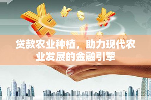 暖暖贷款农业种植，助力现代农业发展的金融引擎