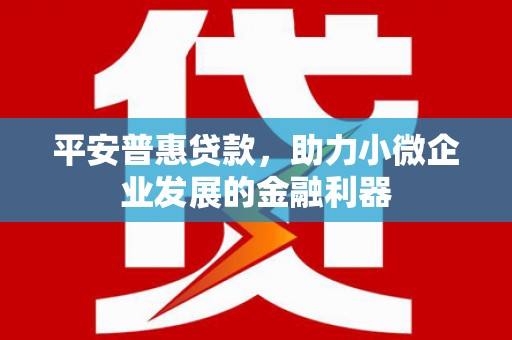 暖暖平安普惠贷款，助力小微企业发展的金融利器