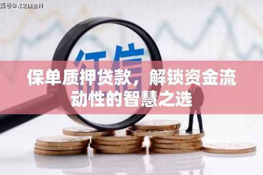 暖暖保单质押贷款，解锁资金流动性的智慧之选