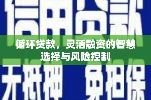 暖暖循环贷款，灵活融资的智慧选择与风险控制