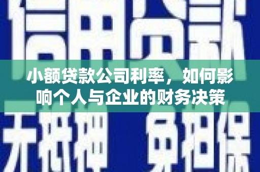 暖暖小额贷款公司利率，如何影响个人与企业的财务决策